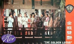 金瓶双艳完整版在线播放观看,激情演绎，经典再现